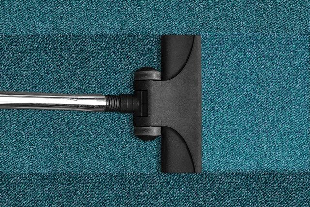 vacuum cat
