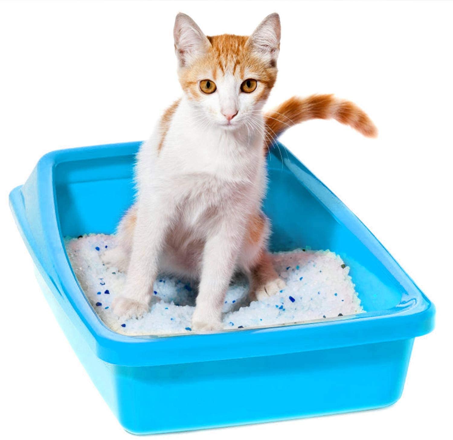 Mejor arena silice para gatos