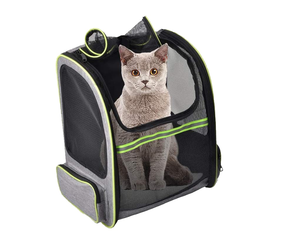 mochila transportin para gato