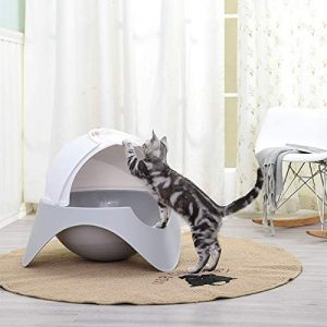 arenero para gato con diseño
