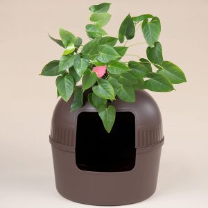 arenero para gato rhrquality flower xxl