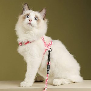 Arnes antiescape para gatos con correa