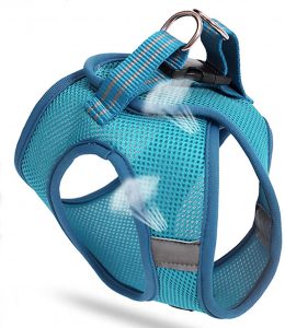 arnes antiescape cómodo para gatos