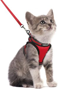 conjunto de arnes anti escape rabbitgoo