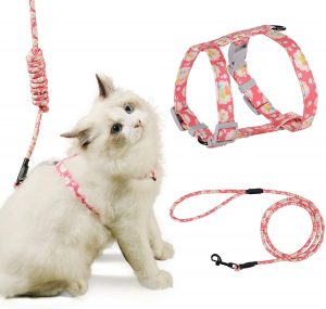 pettom arnes ajustable