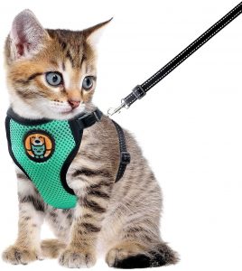 Arnés antiescape de gato pequeño
