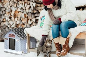 Casa exterior climatizada para gatos