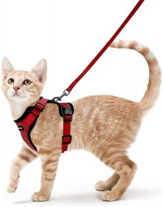 el mejor arnes antiescape para gatos