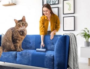 el mejor quitapelos para gatos