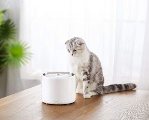 Fuente para gatos sin electricidad