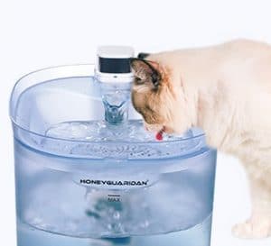 fuente de agua para gatos sin cables