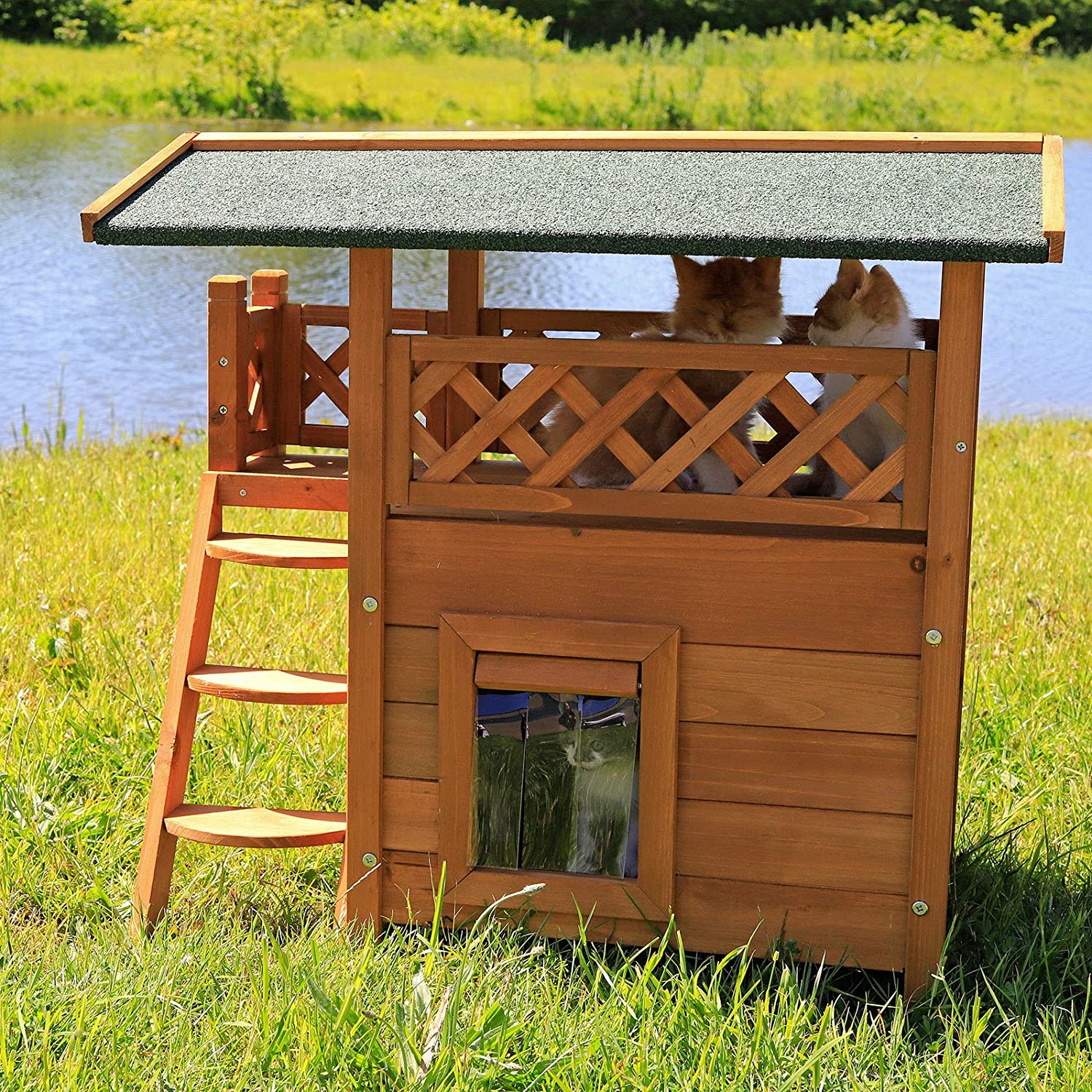 Casita Exterior Para Gatos