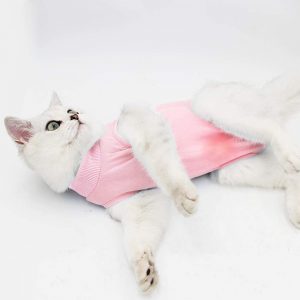 traje de recuperación para gatas