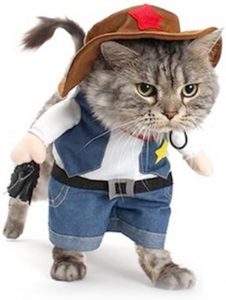 delifur disfraz de vaquero para gatos