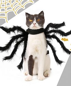 disfraz de araña para gato