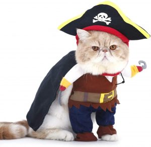 disfraz de pirata para gatos