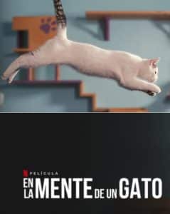 en la mente de un gato netflix