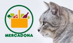 Las mejores arenas para gato Mercadona