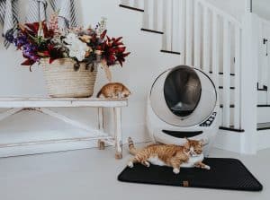 arenero automático con alfombra para arenero de gatos