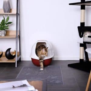 arenero con alfombrilla para gatos