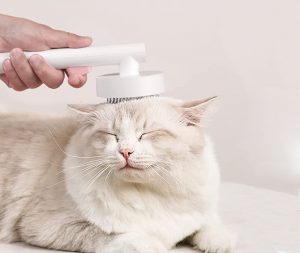 cepillo gato pelo largo