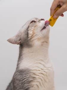 probioticos para gato (1)