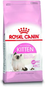 royal canin pienso para gatitos