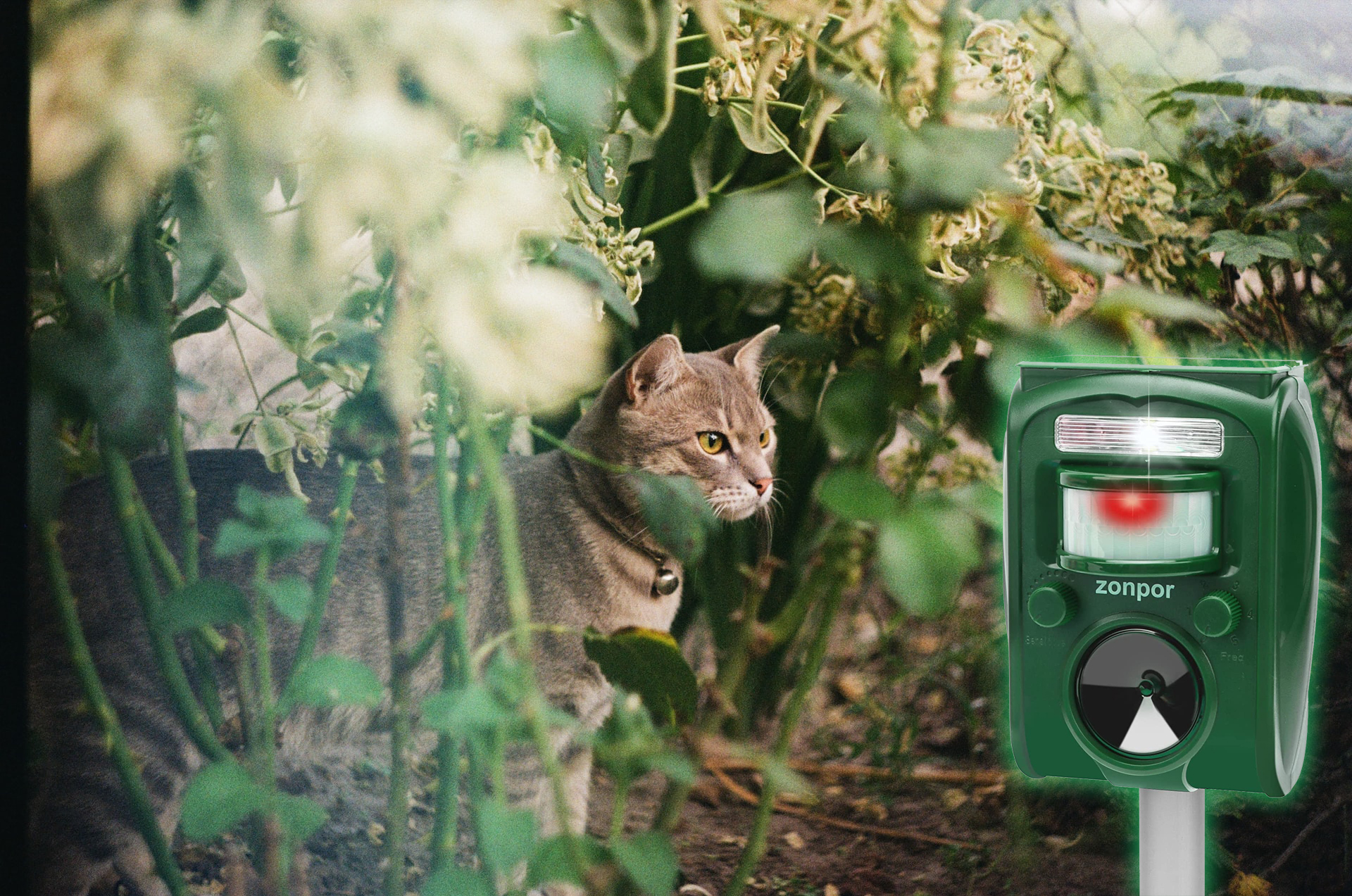 Mejor ahuyentador de gatos ultrasonicos