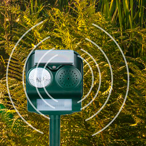 ahuyentador de gatos sensor