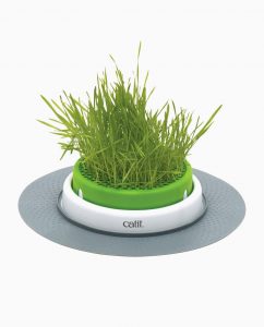 catit germinador hierba gatera mercadona