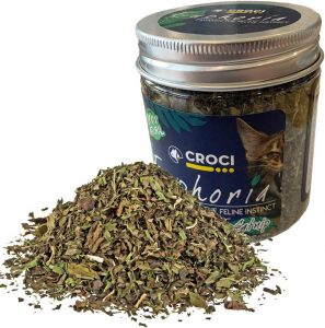croci euphoria hierba gatera