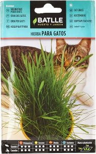 hierba gatera mercadona