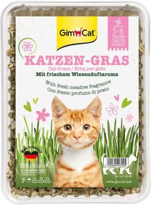 gimcat hierba gatera mercadona