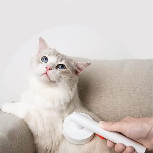 cepillo gato pelo corto