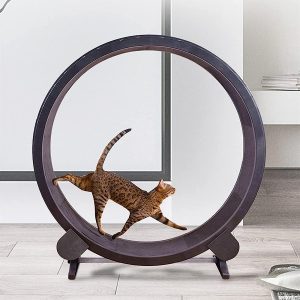 JKLAND rueda para gatos