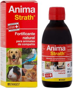 strangest anima