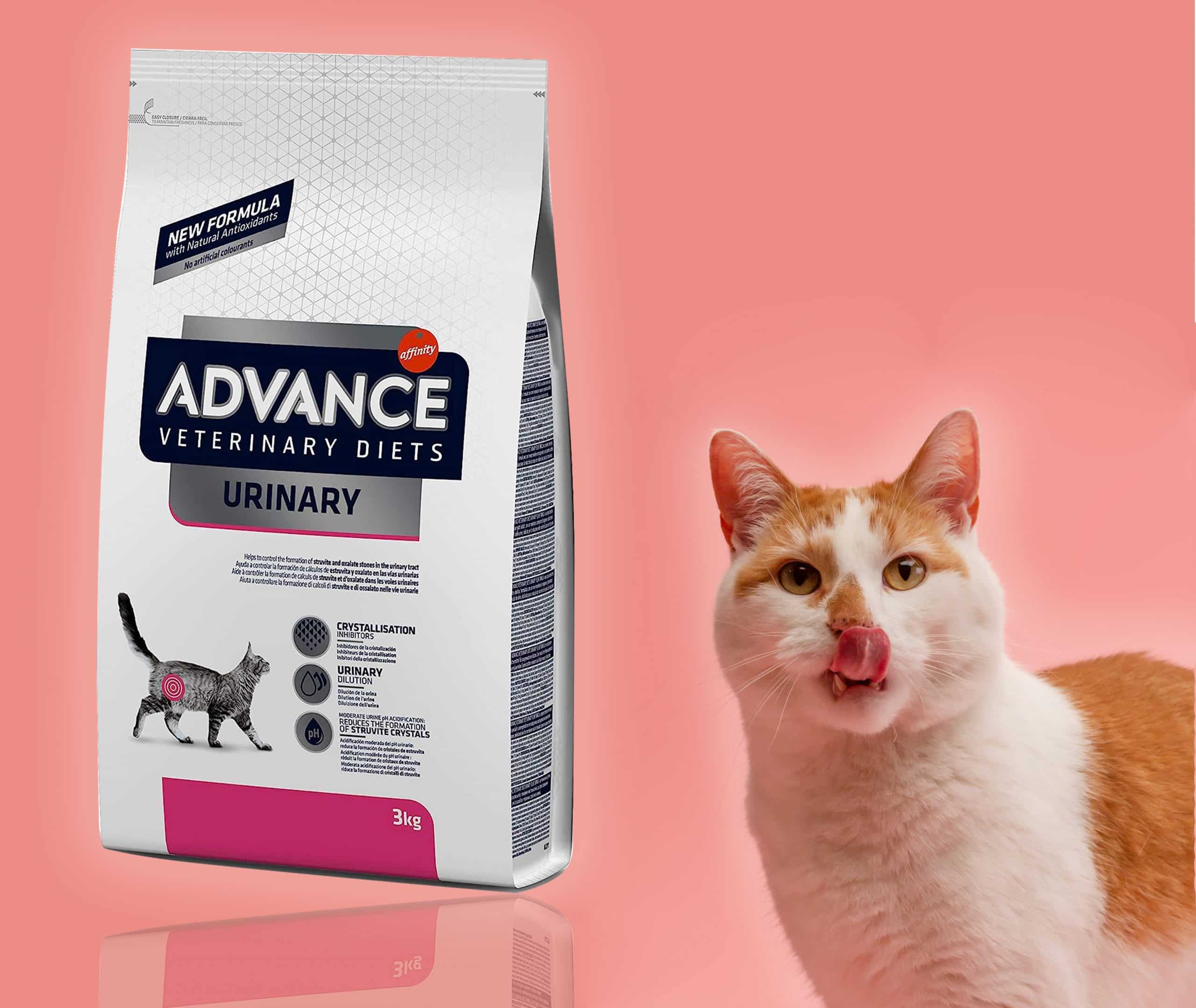 MEJORES PIENSOS URINARY PARA GATOS