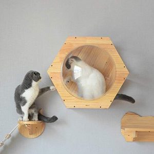 cueva espacial estanteria gato