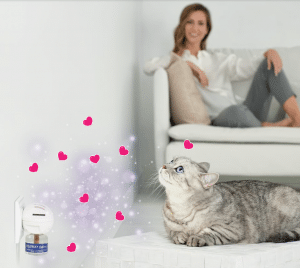 feliway gatos