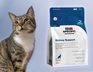 comida pienso gatos insuficiencia renal